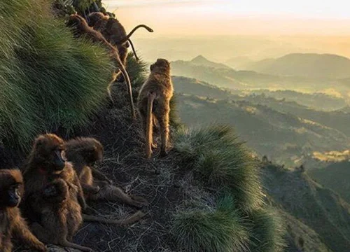 3-Day Simien Mountain Trekking