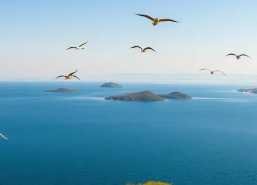 3 Days Ethiopia Birdwatching Tour