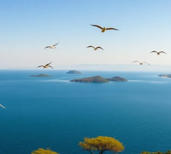 3 Days Ethiopia Birdwatching Tour